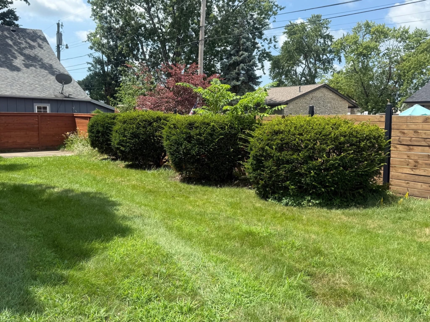 Fence-Line Hedge Shaping before
