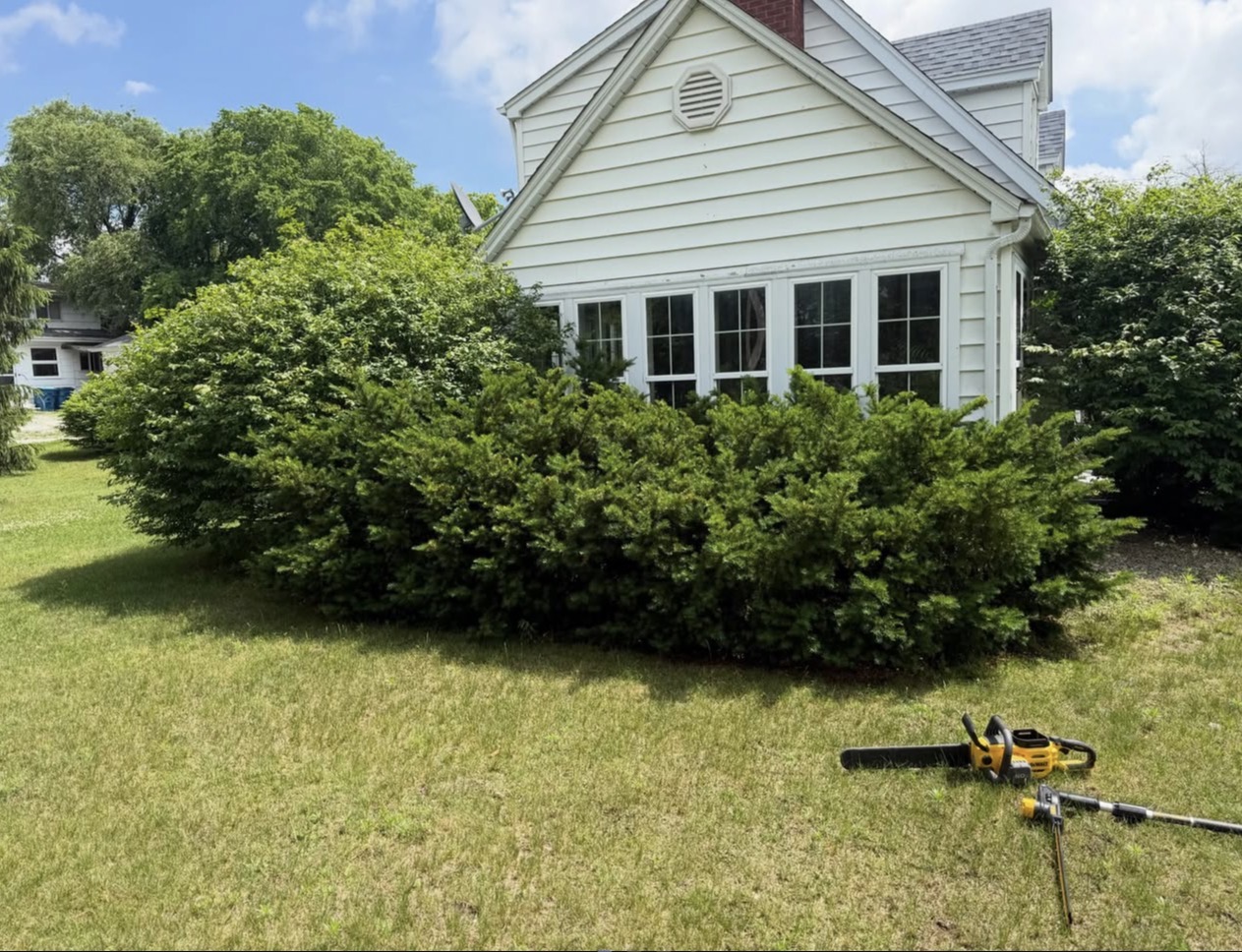 Bush & Hedge Trimming before