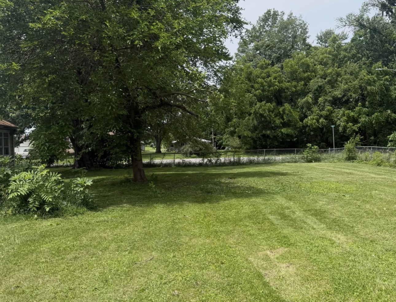 Lawn Mowing & Cleanup after