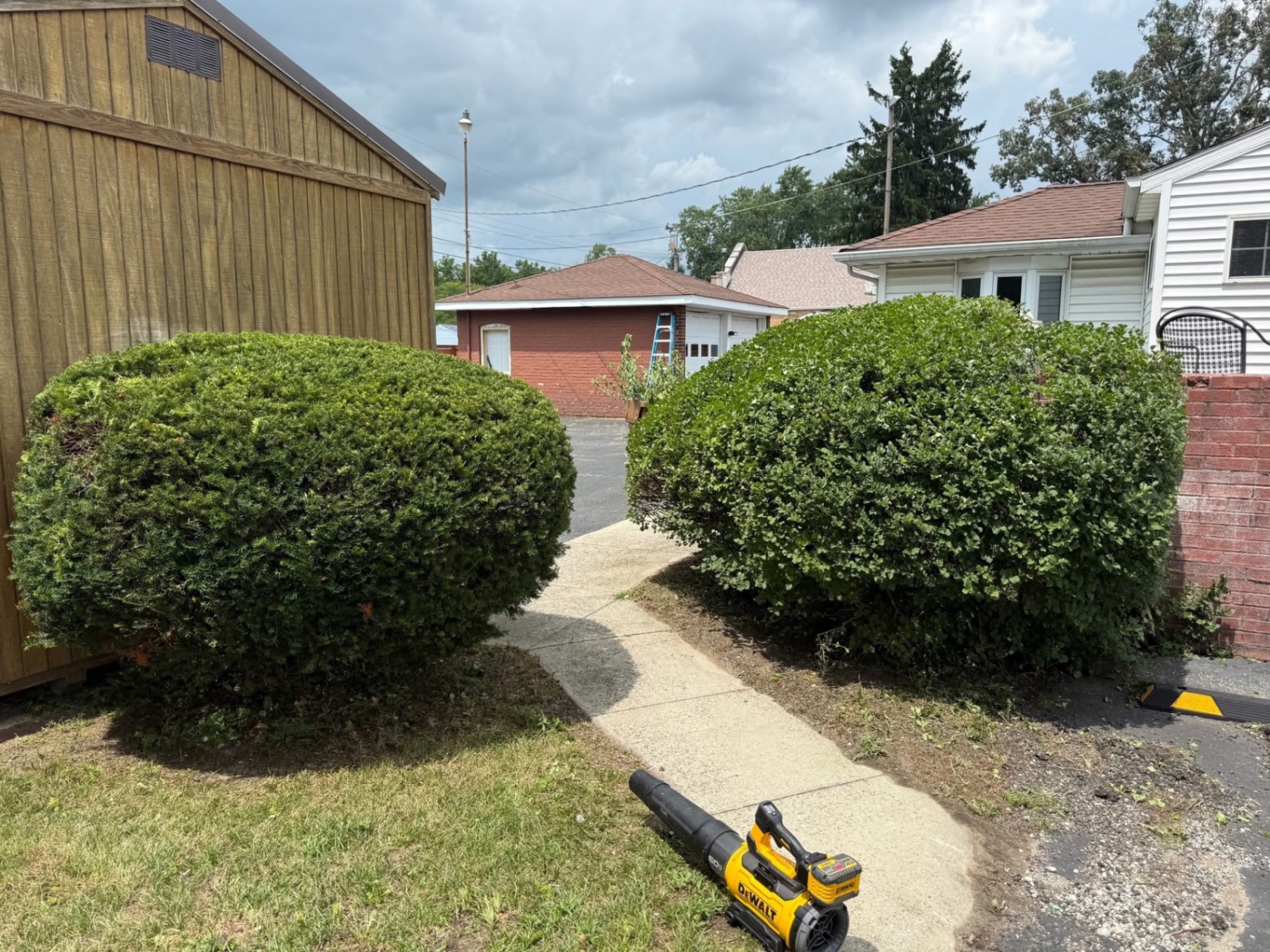 Shed Bush Trimming after
