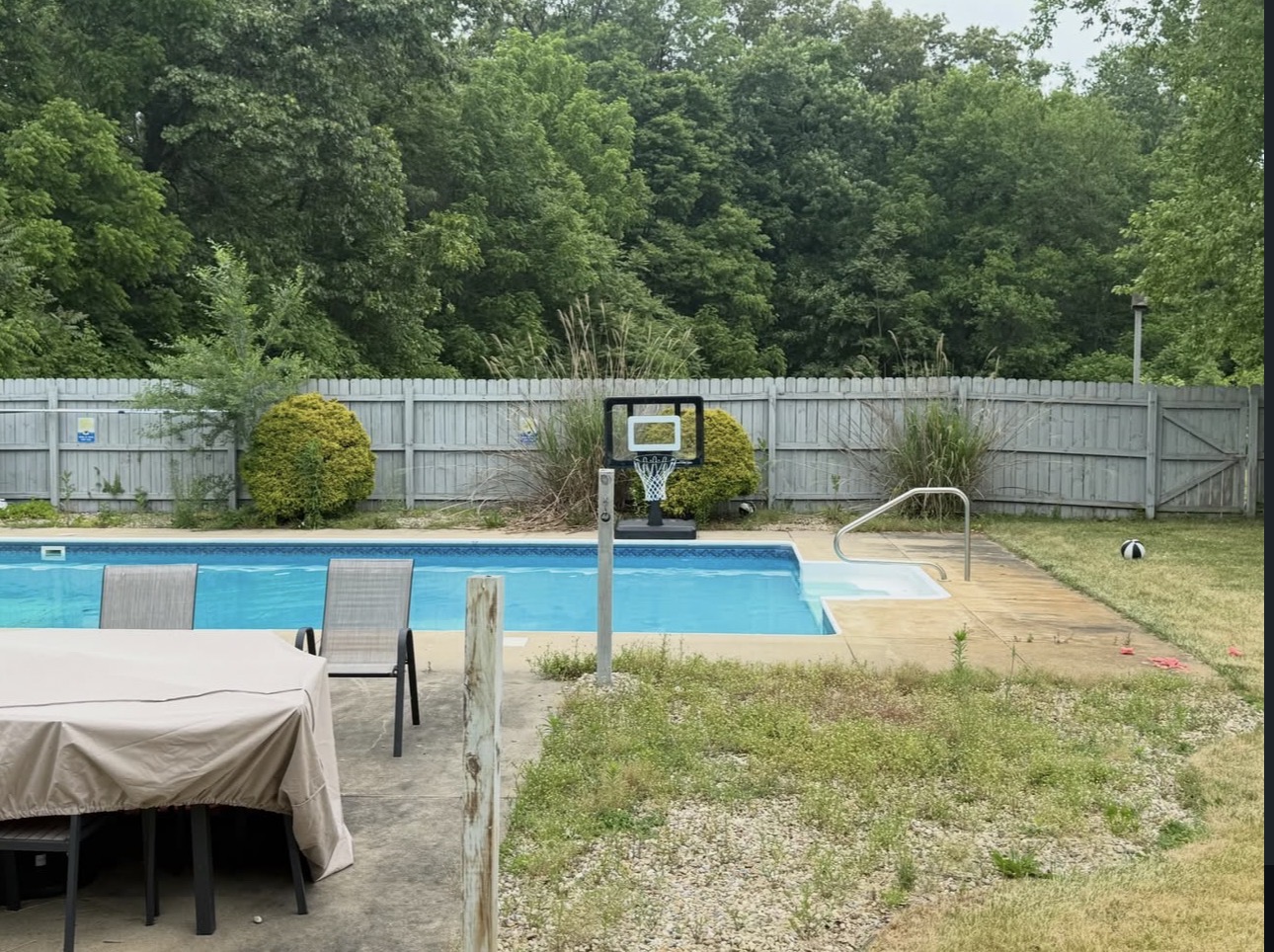 Pool Area Cleanup before